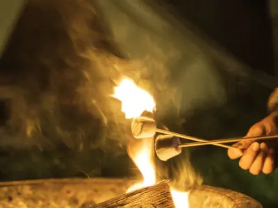 CampfireMarshmallow.jpg